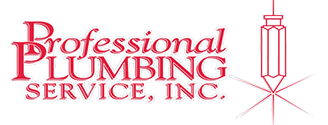 Professional Plumbing Logo